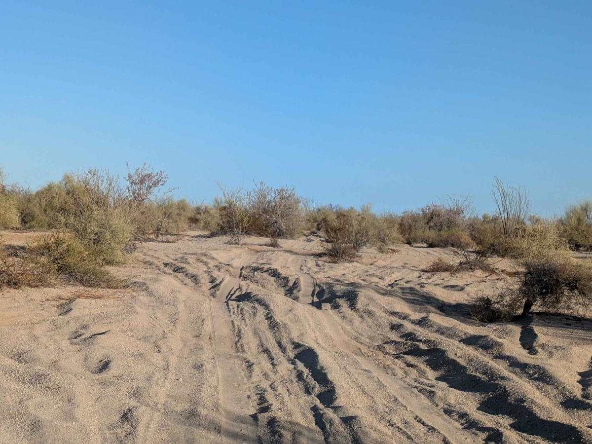 The Cortez Sand Trail photo 3