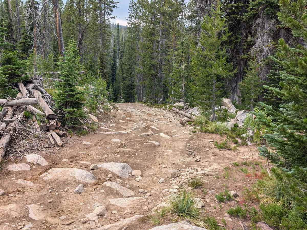 Grouse Creek - Marshall Mountain Road - FS 325 photo 2