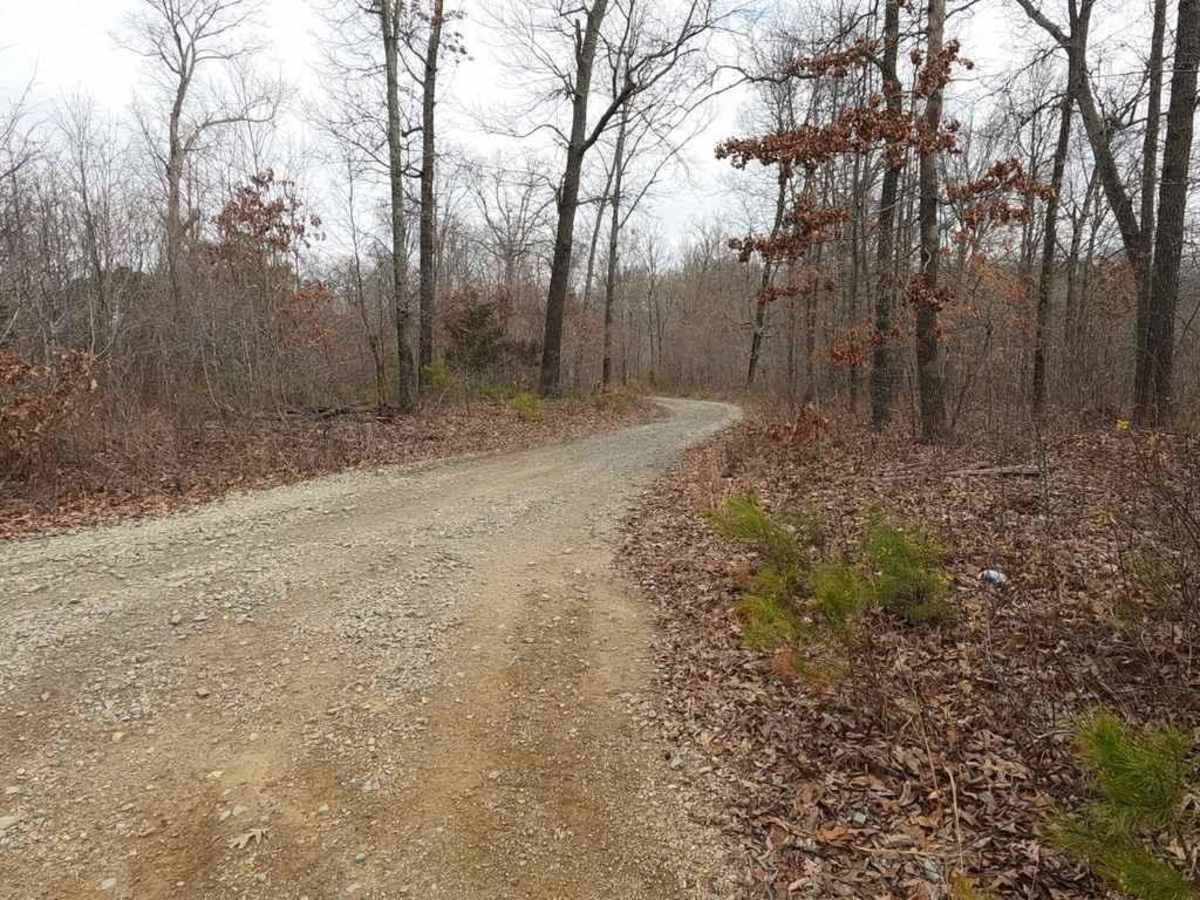 Pine Union Hilltop FSR 2137 photo 5