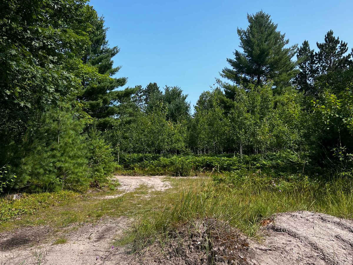 Soper Creek Trail photo 3