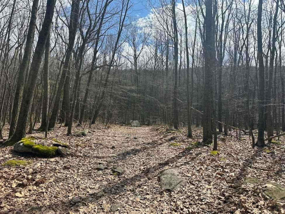 Ashland 45 photo 2