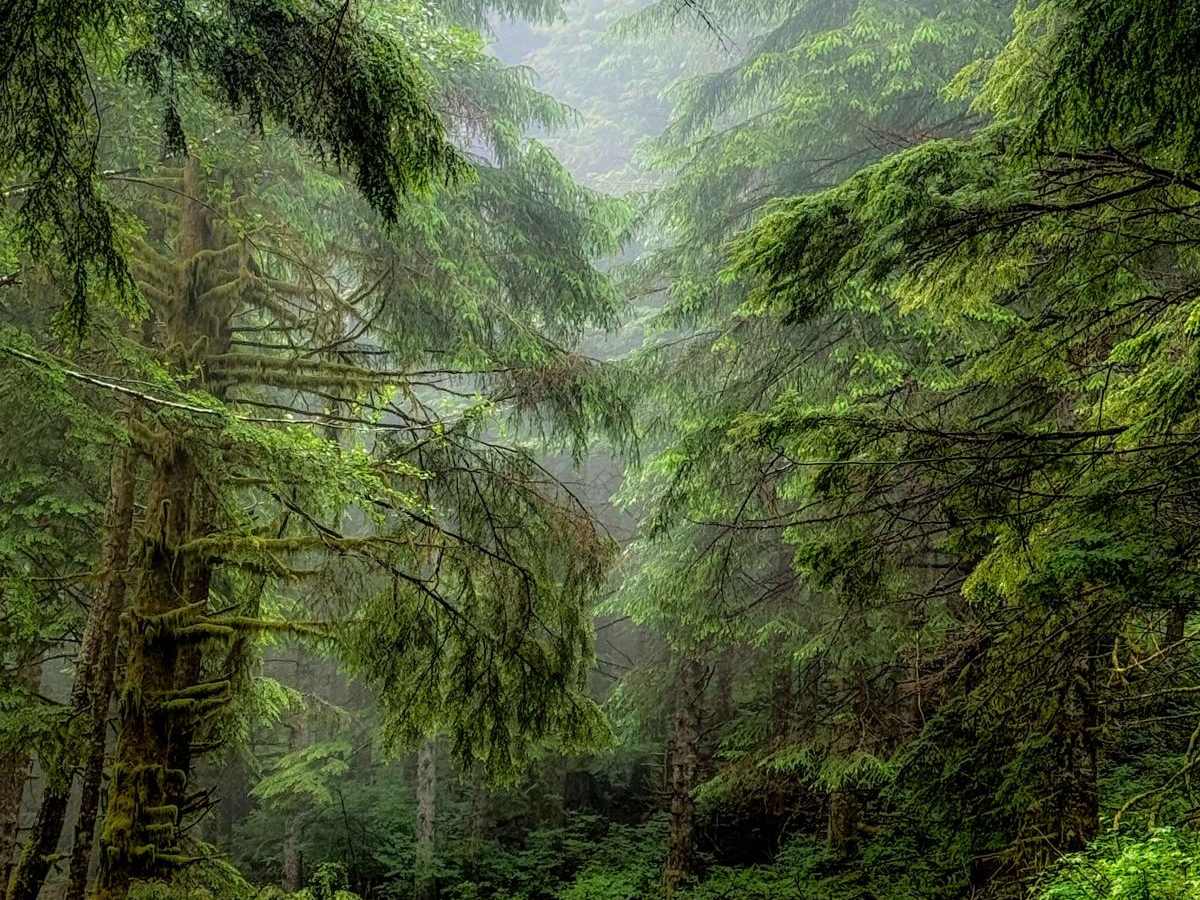 A Line trail photo