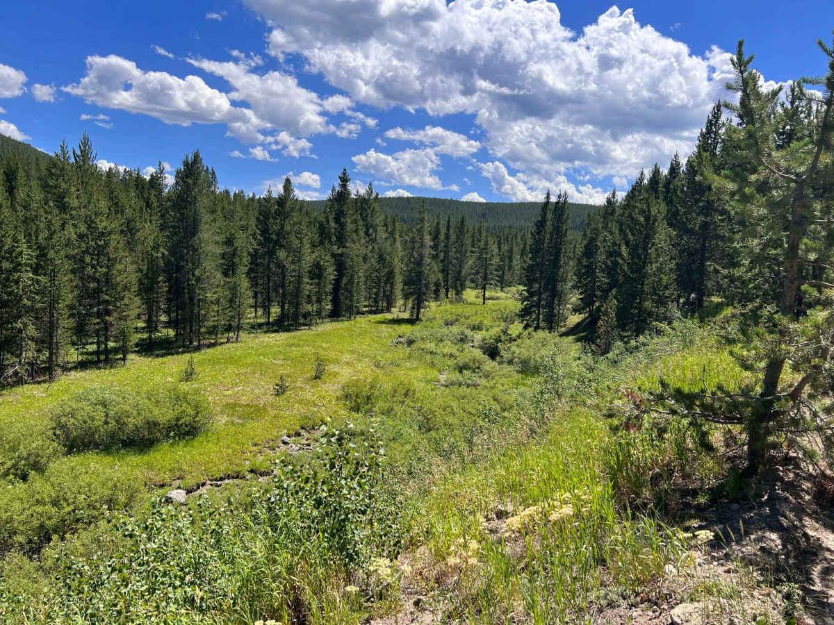 South Fork Madison Road (478) photo 5