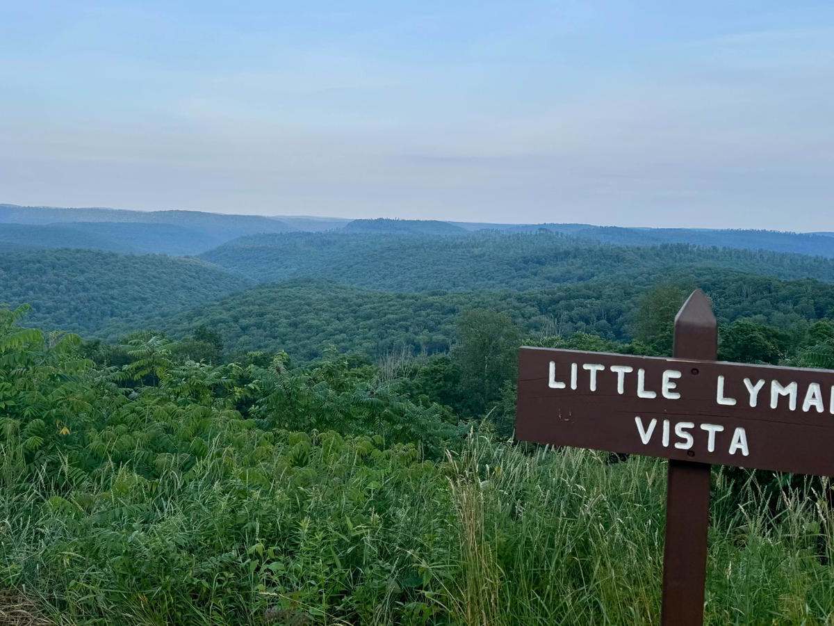 Horton Run Road photo 4