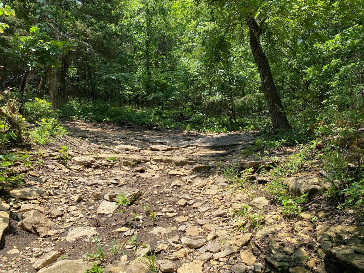 Charlie's Channel trail photo