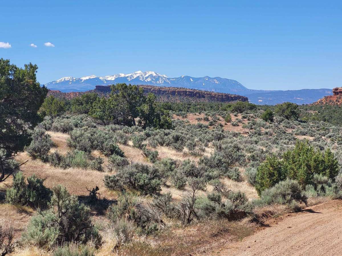 Ryan Creek trail photo