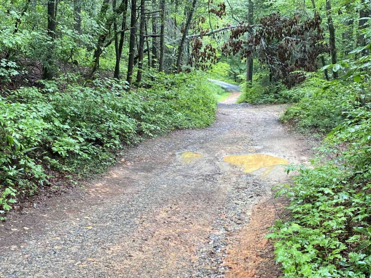 Jones Creek Road - FS 77A photo 3