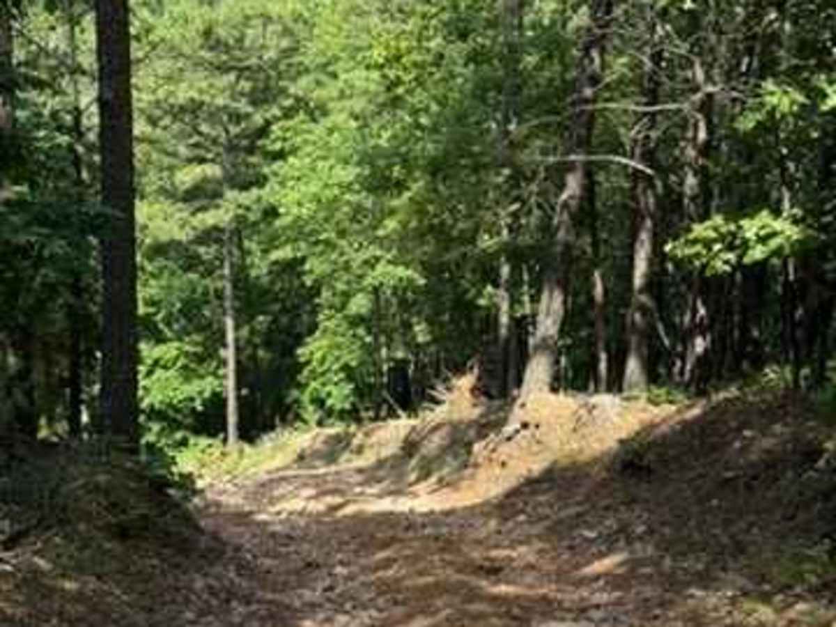 Dale's Trail photo 2