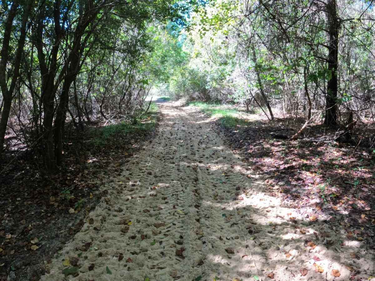 Fox Hollow photo 2