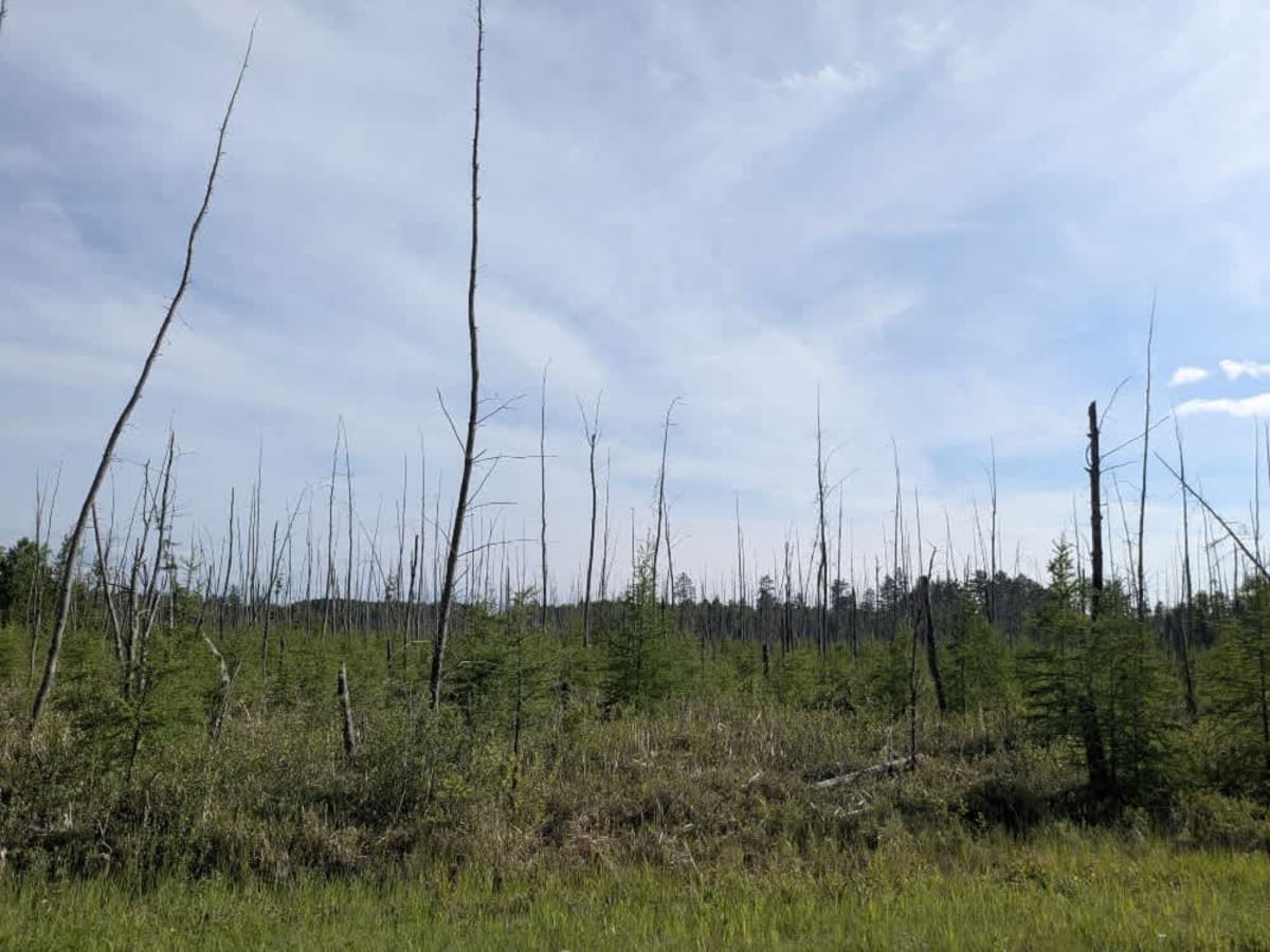 County Road 33 photo 3
