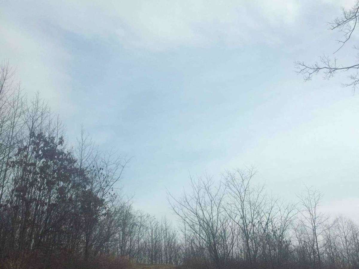 Lady Run Road photo 5
