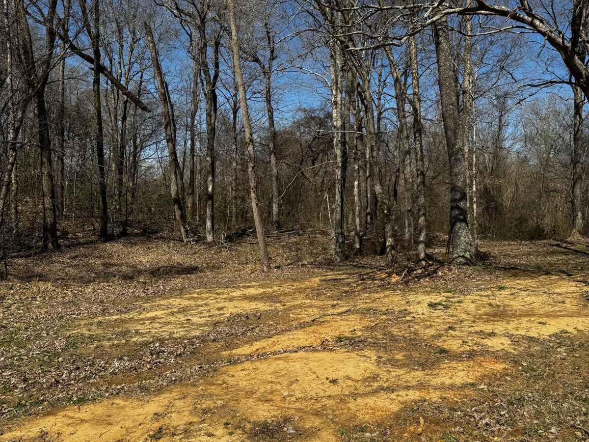 Camp Loop 6 trail photo