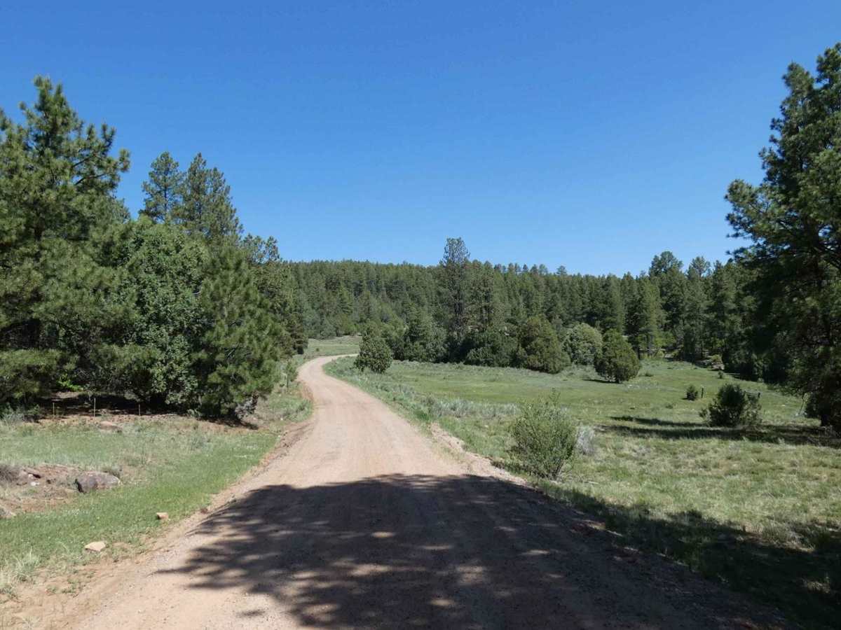 Green Camp Canyon photo 5