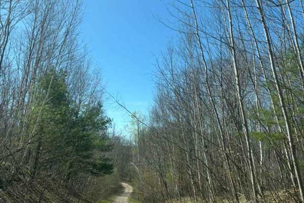 Forest Road 2249