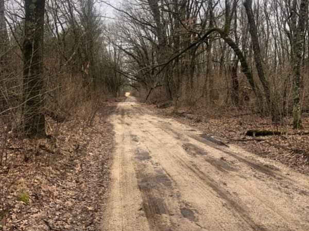 Allegan Forest 120th Street to 44th Street photo 2