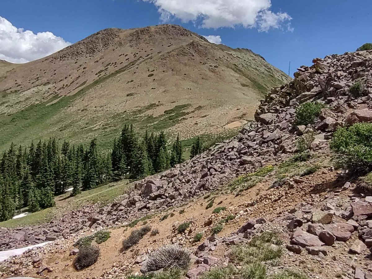 Revenue Gulch Cottonwood (72) photo 5