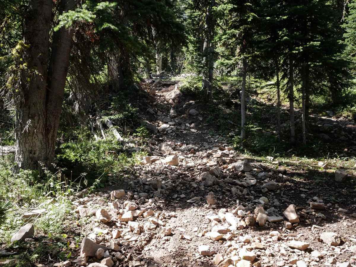 Minnie Wapiti photo 6