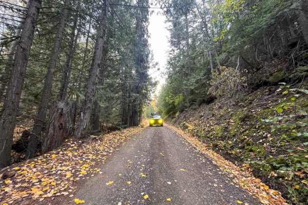 Cedar Hill Road to Pinaus