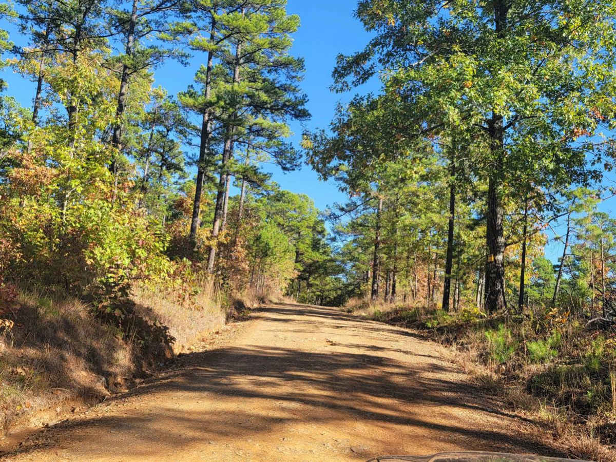 Dispersed on Boles trail photo