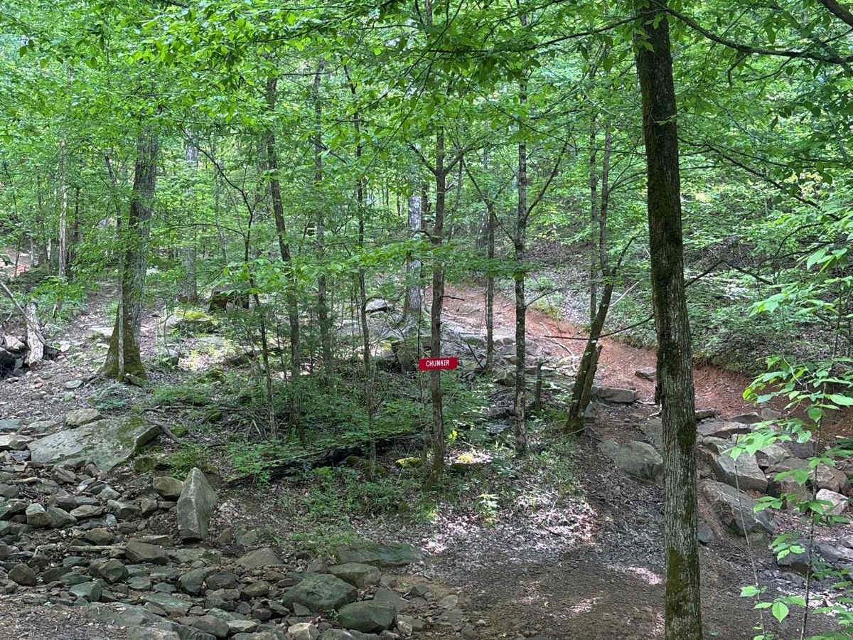 310 trail photo