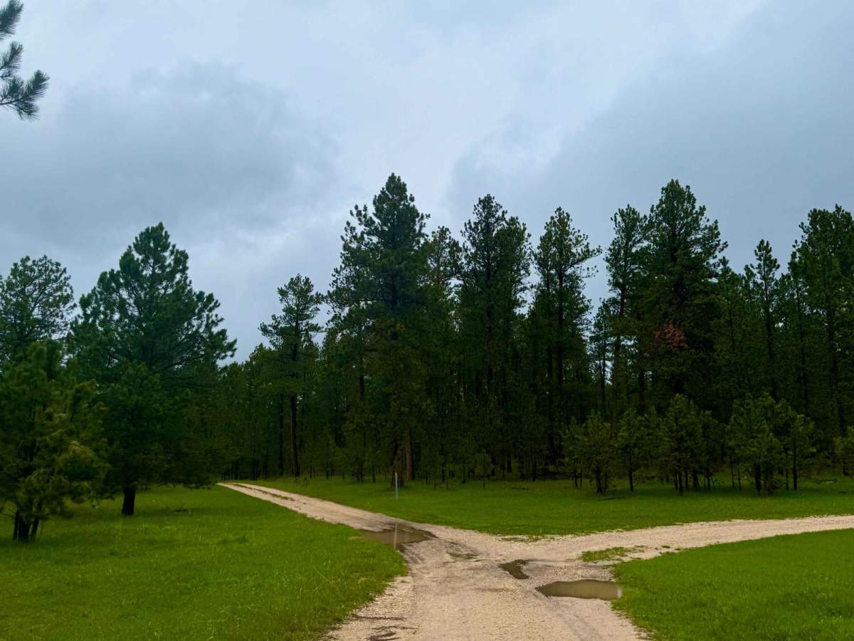 Heggie Spring Road photo 4