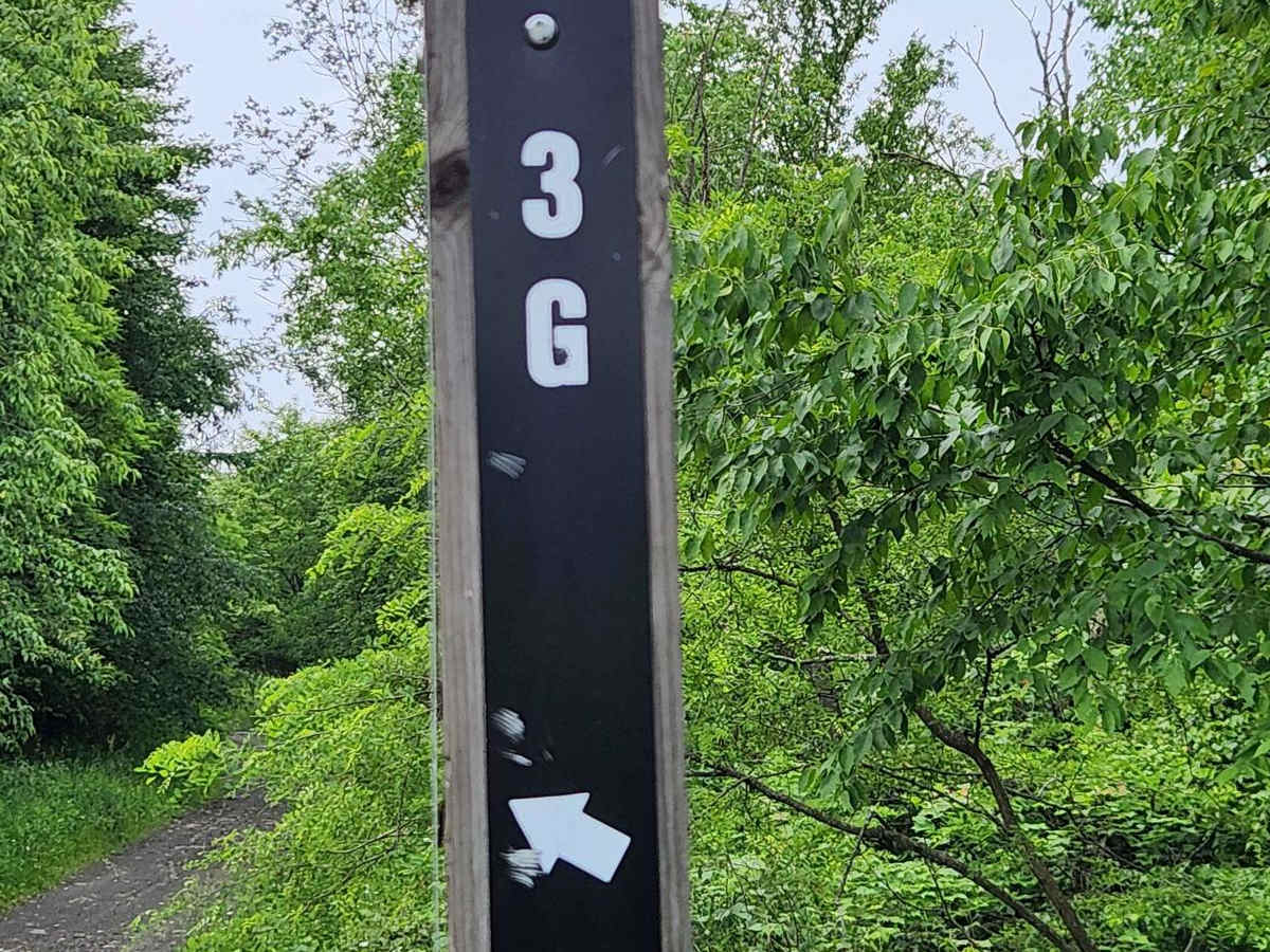Trail 3G - Rock Run Recreation Area trail photo