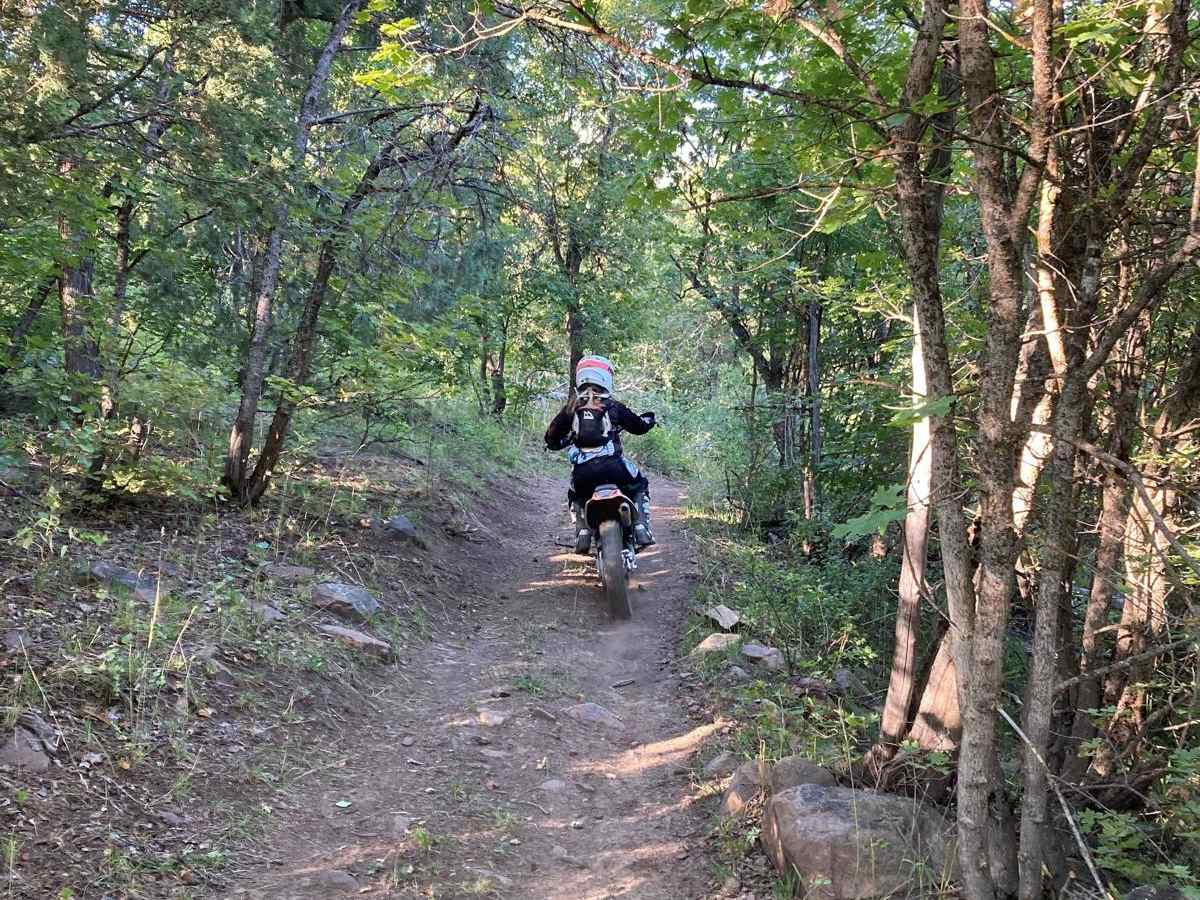 Lower Cub River Trail photo 3