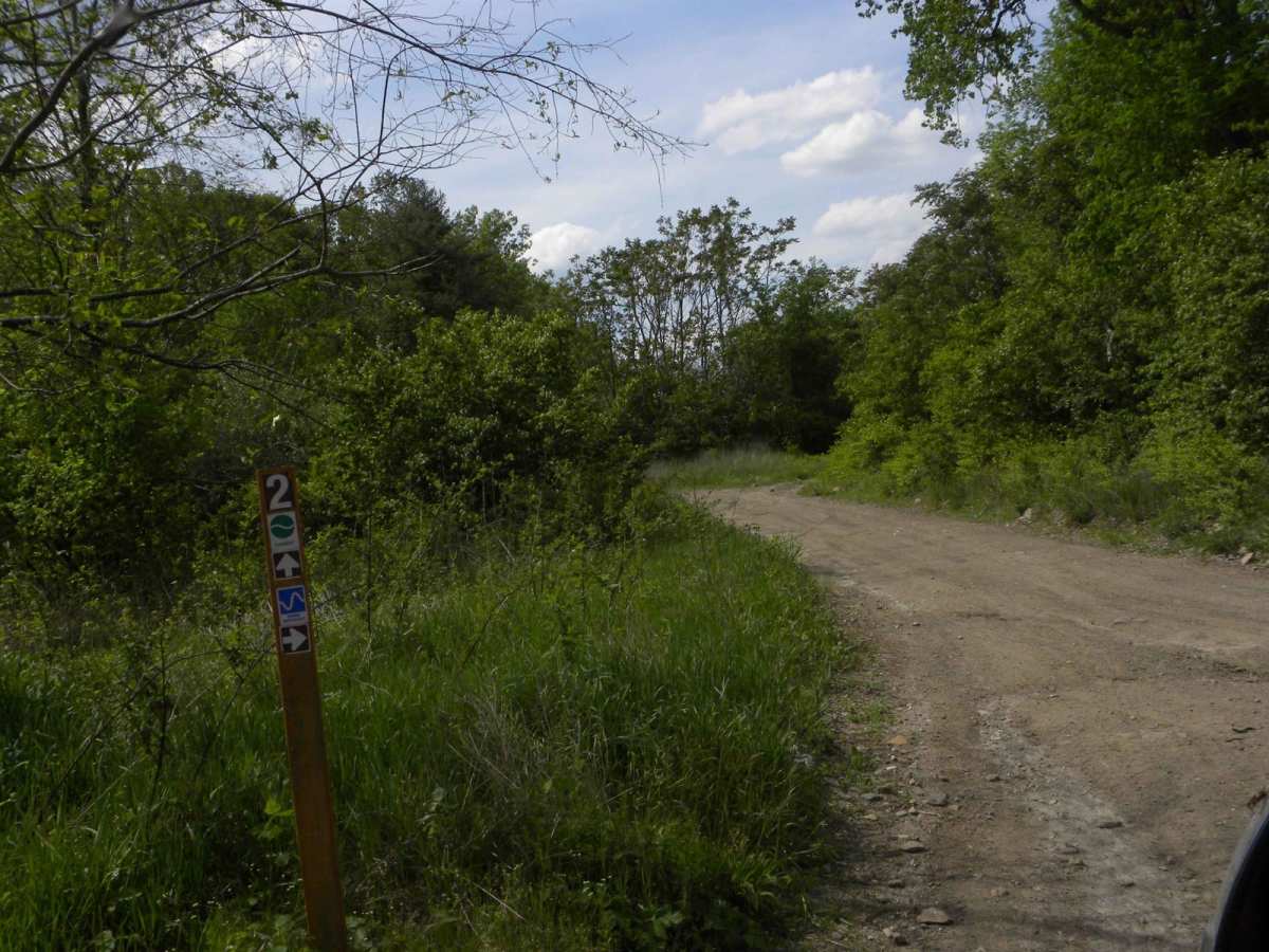 Trail 2 photo 3