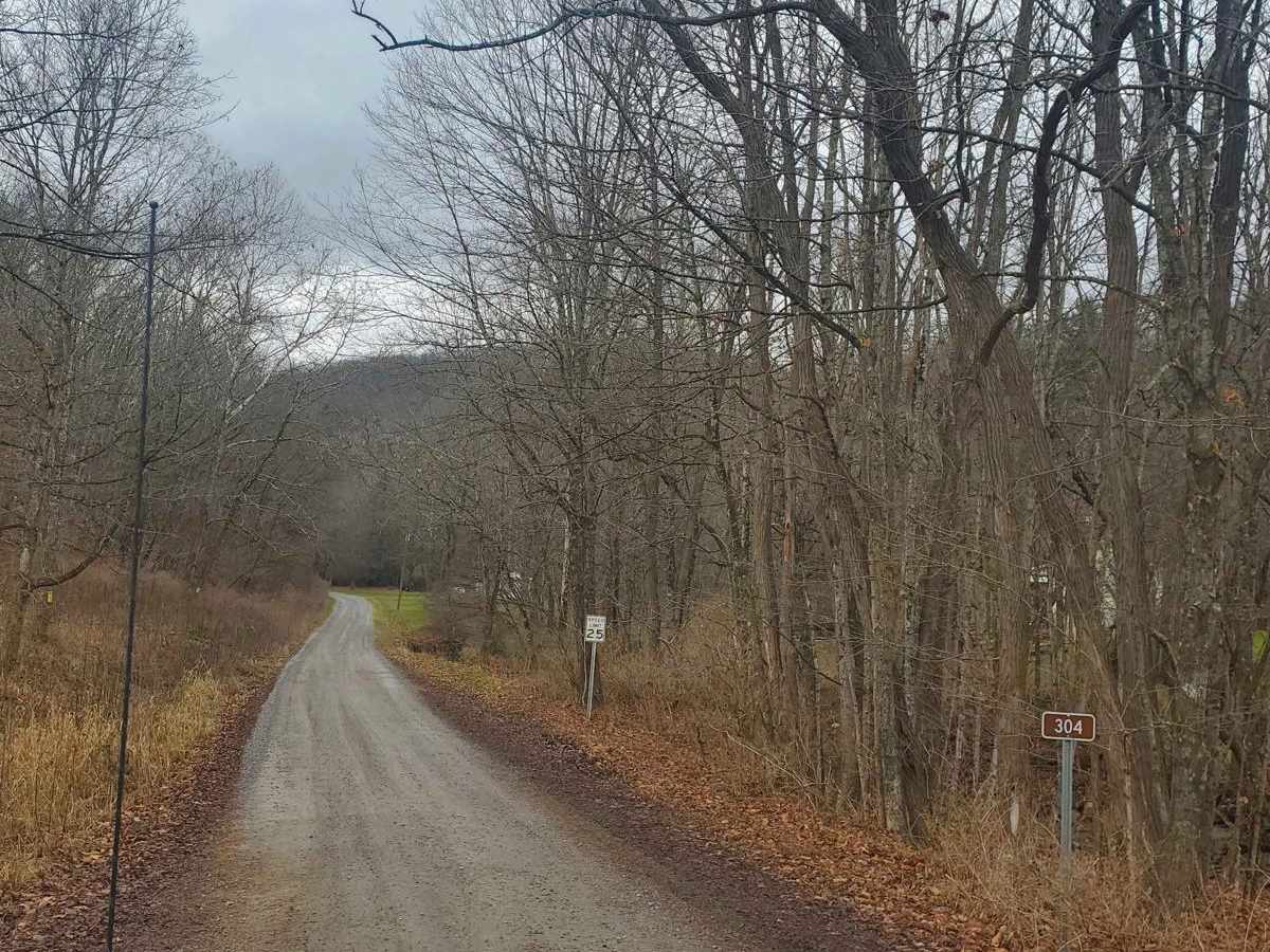 Stillhouse Run Road (FS304) trail photo