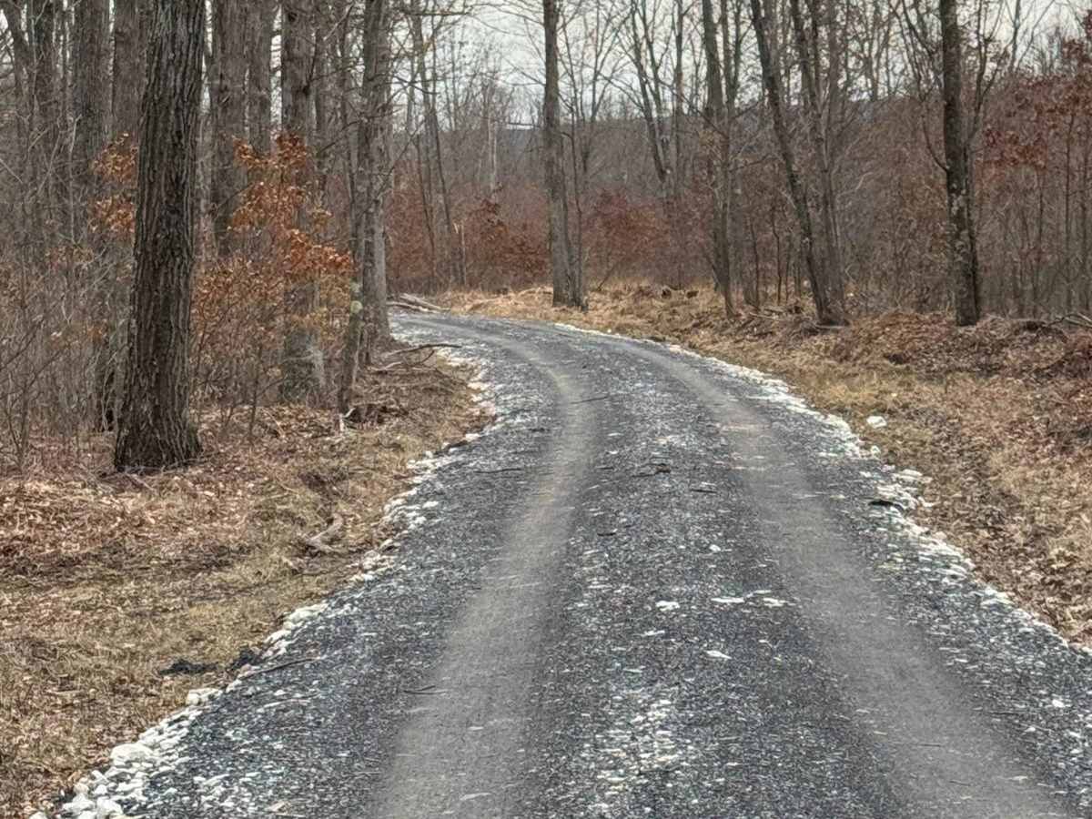 Clubhouse Road photo 4