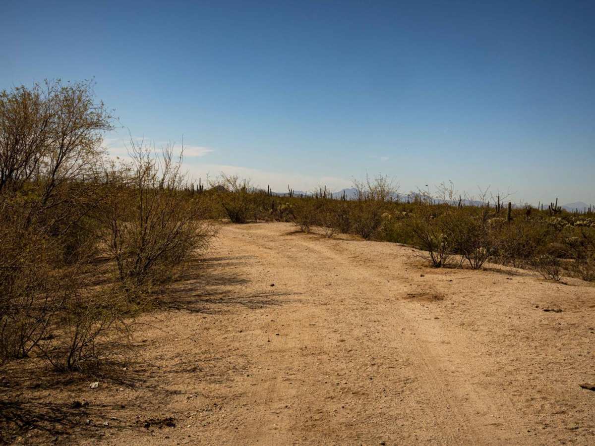 Mesa Tank to Wash Problems trail photo