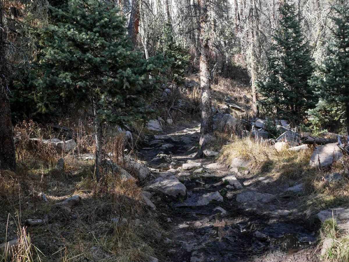 Bear Creek ATV 709 photo 2