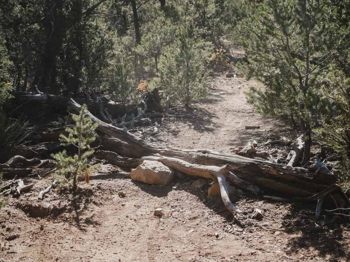 Middle trail photo
