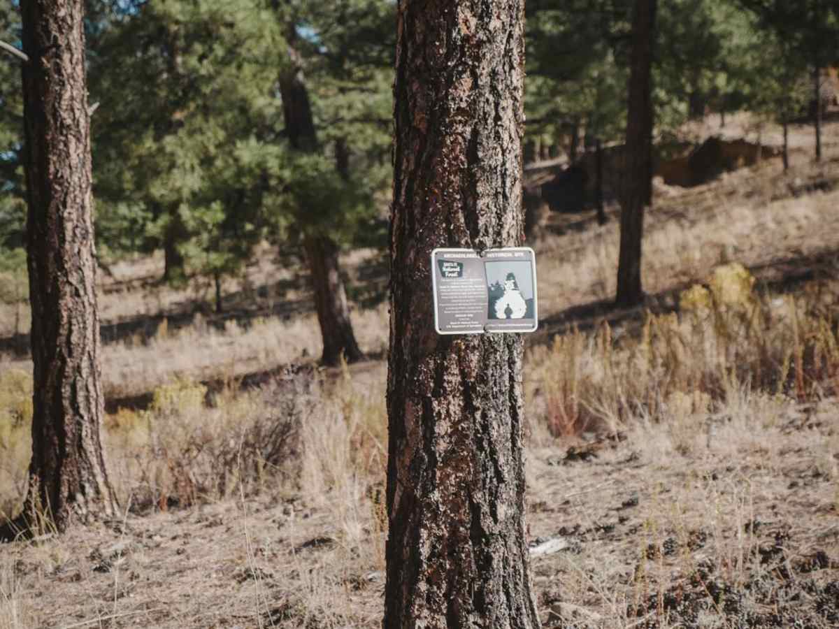 Chupaderos Spur trail photo