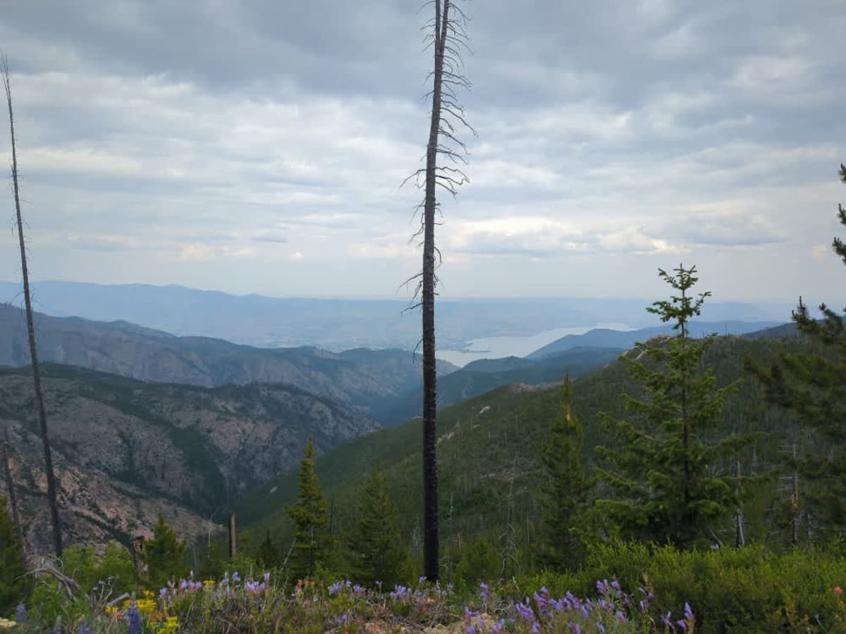 NF 8410 (WABDR Section 4) trail photo