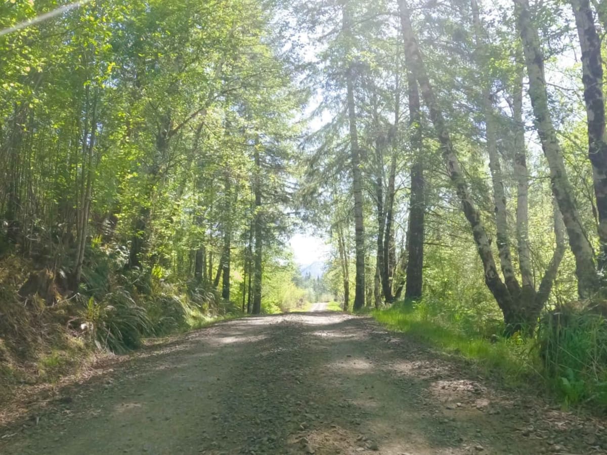 Jordan Creek Road trail photo