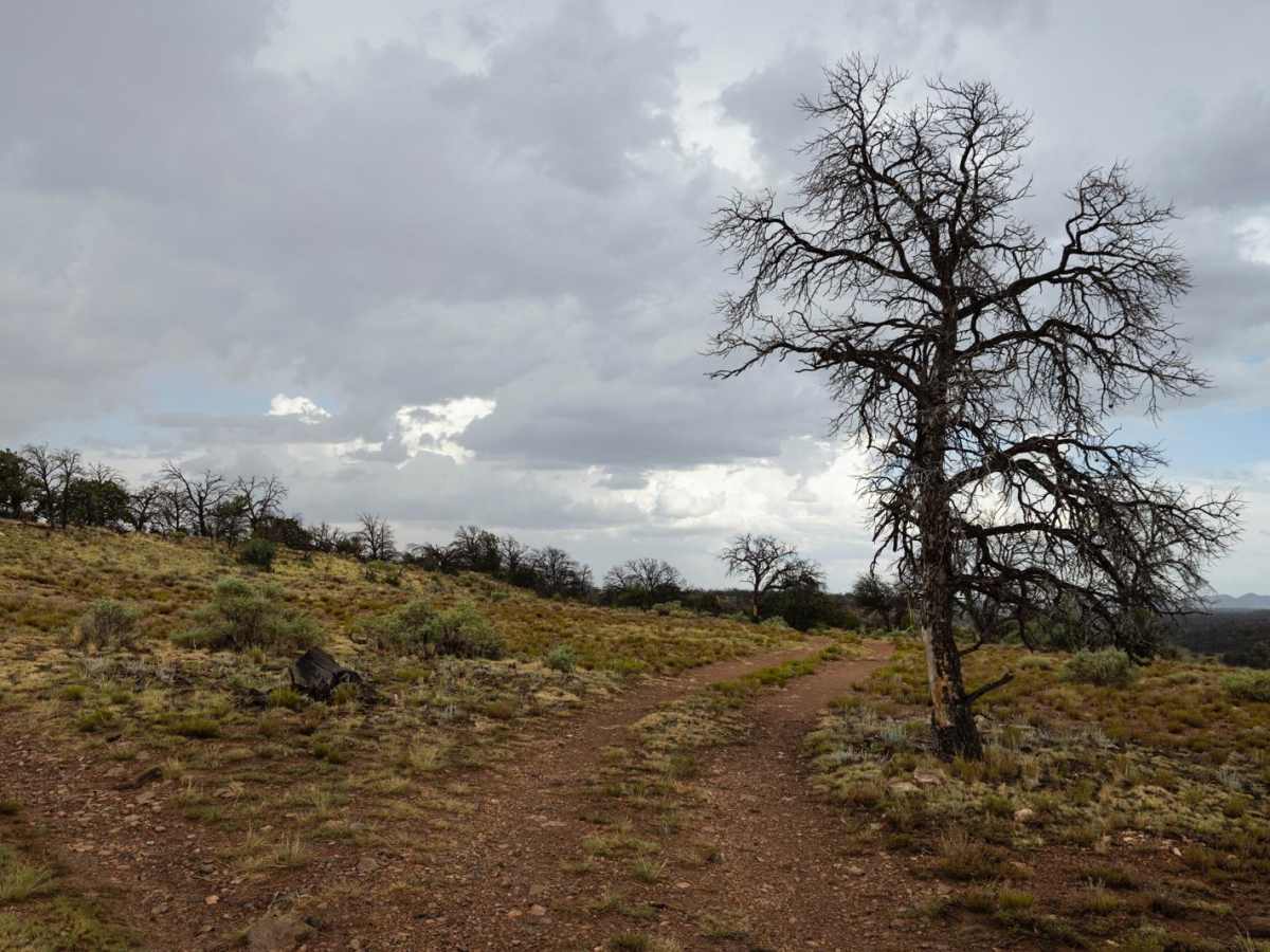Dents Exit trail photo