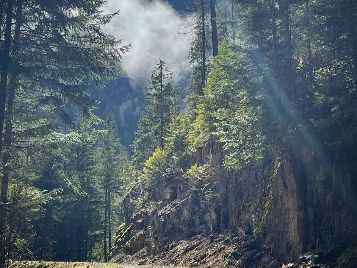 Tunnel Creek Trail photo 6