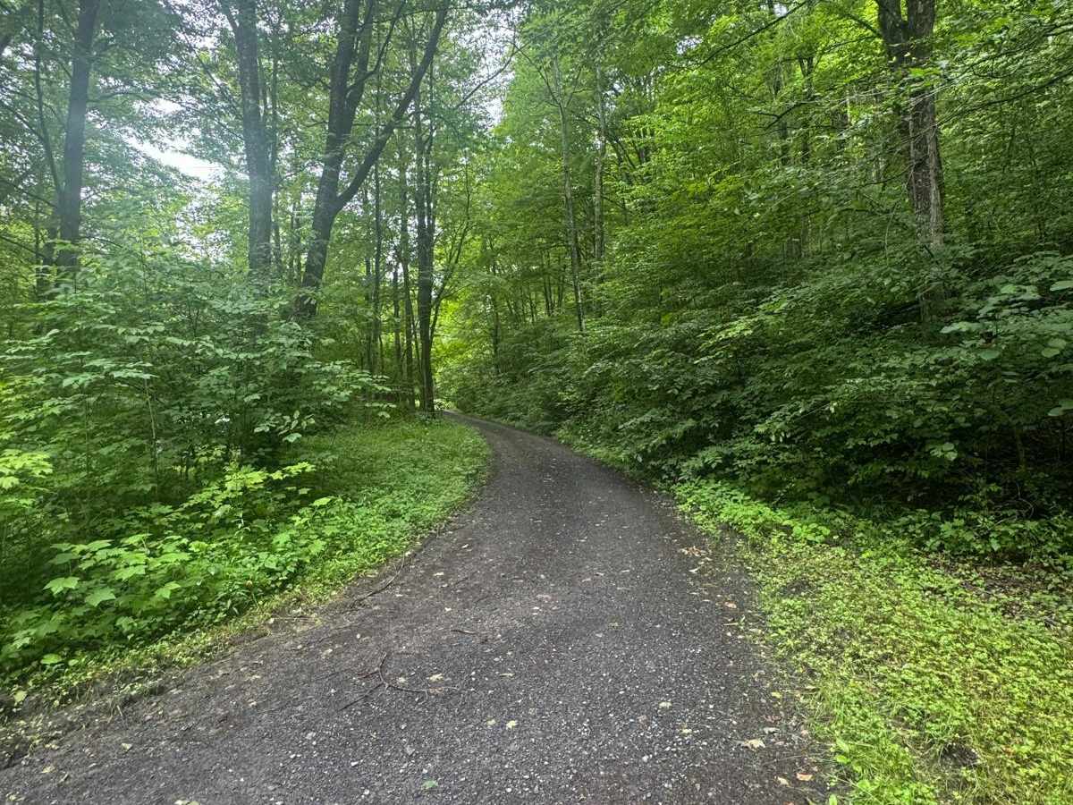 Robinson Road photo 2
