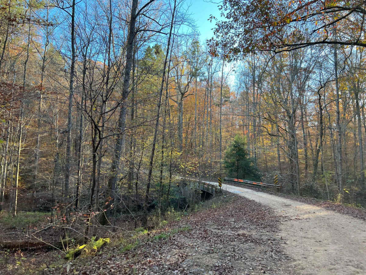 County Road 81 - FS 268 photo 5