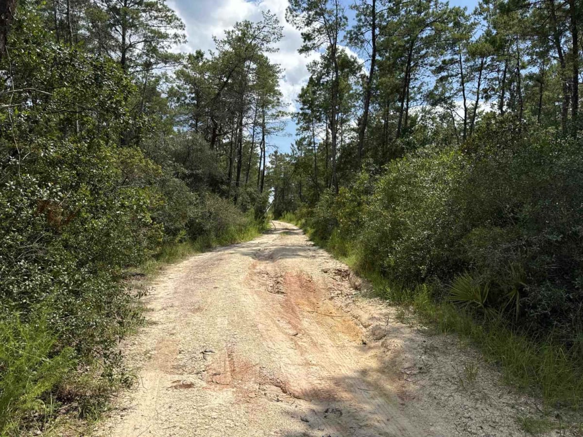 Green Bear Hole / Lam Horse Trail / ONF 17 photo 2