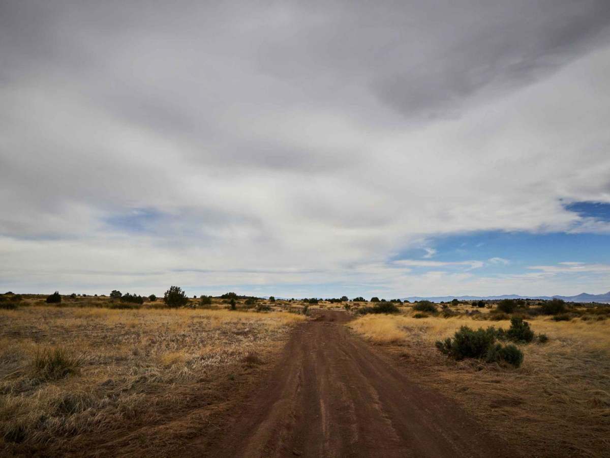 Coyote Ranch Road photo 4