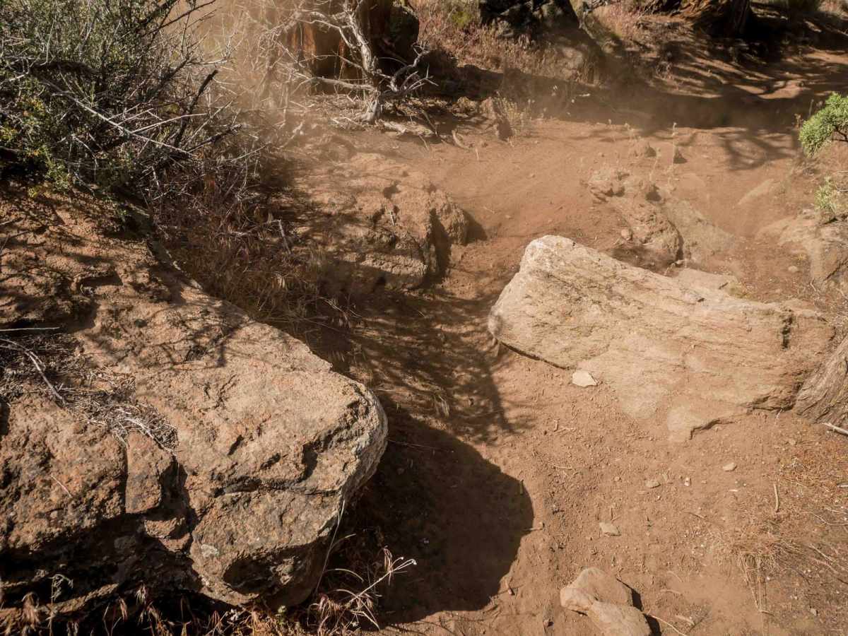 94 trail photo