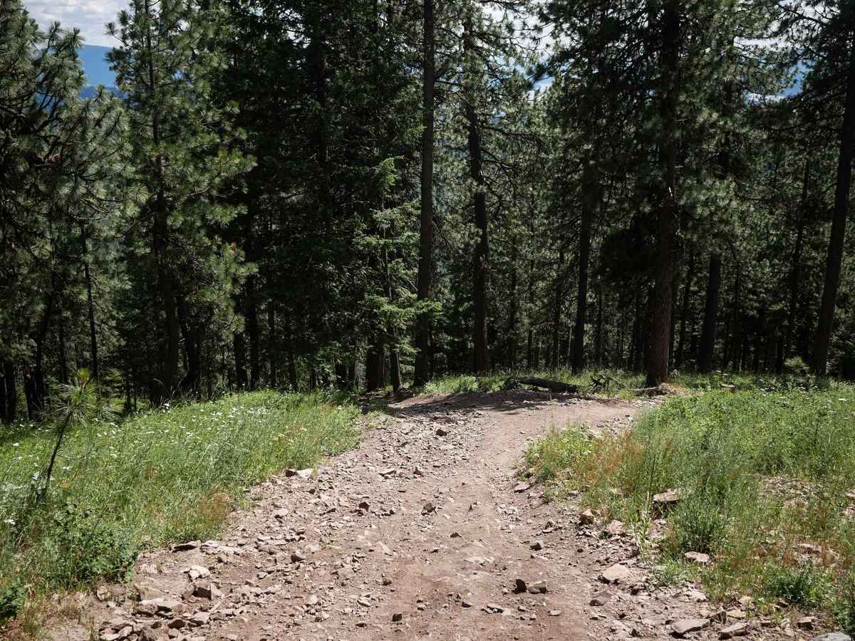 Canfield Mountain- Trail 1 photo 6