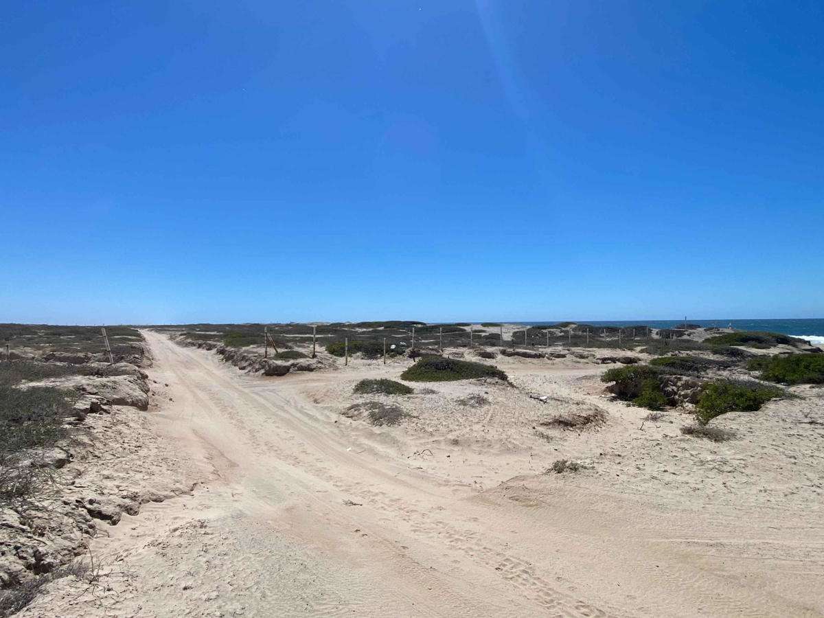 San Isidro De Las Palmas trail photo