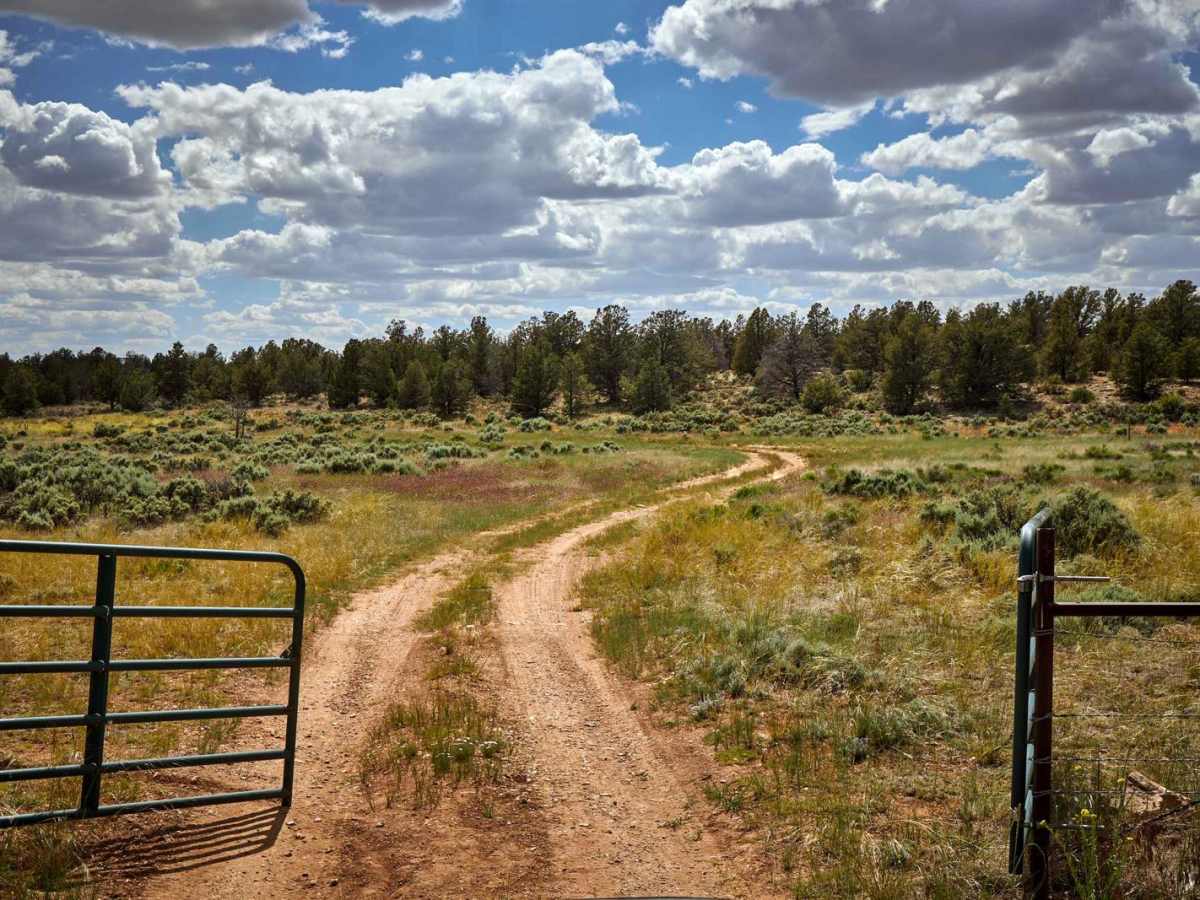 FR 2623 trail photo