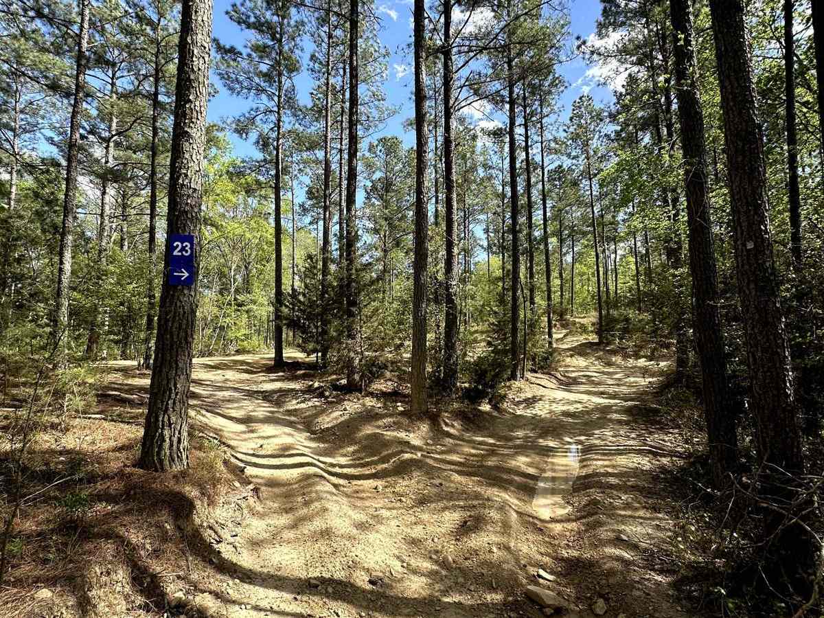 Trail 23 photo 4