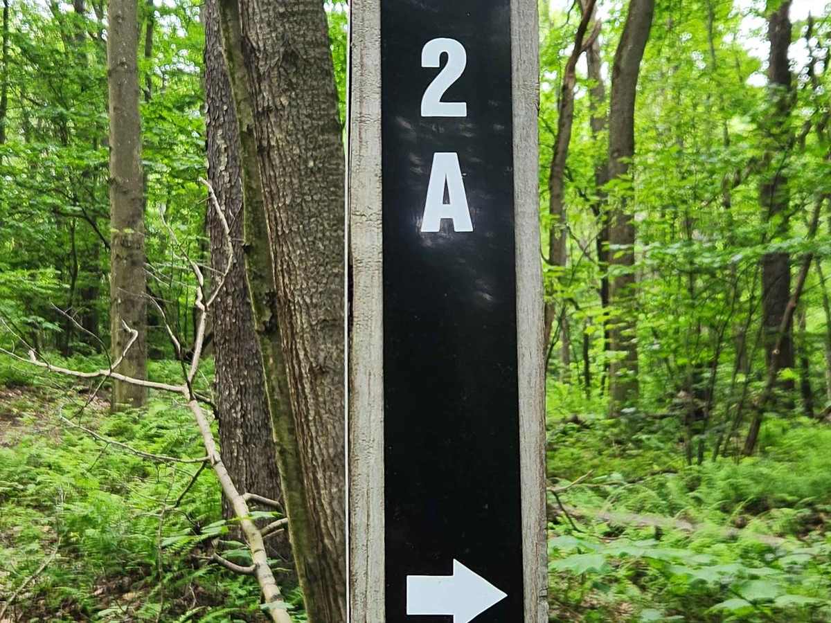 Trail 2A - Black - Rock Run Recreation Area trail photo