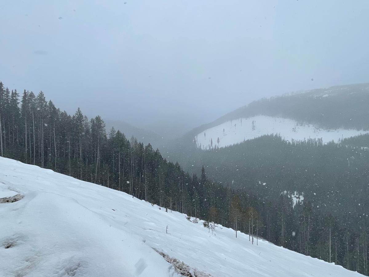 Gunner FSR trail photo