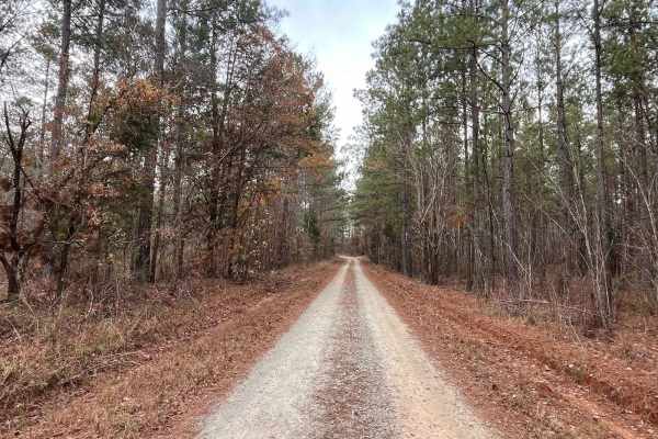 Log Creek Road